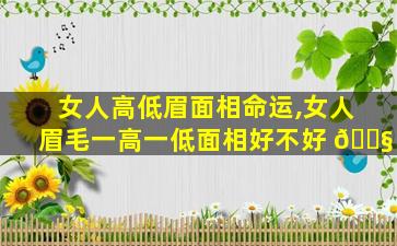 女人高低眉面相命运,女人眉毛一高一低面相好不好 🐧